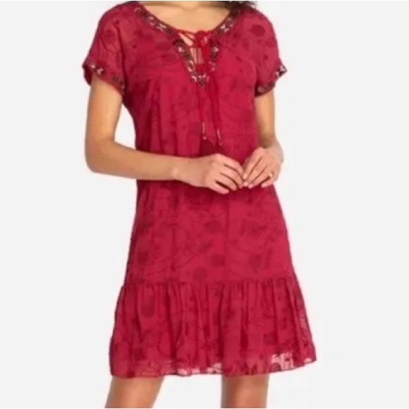 JOHNNY WAS🌻 JADE Sheer Embroidered Lace Up Mini Dress - Picture 2 of 15